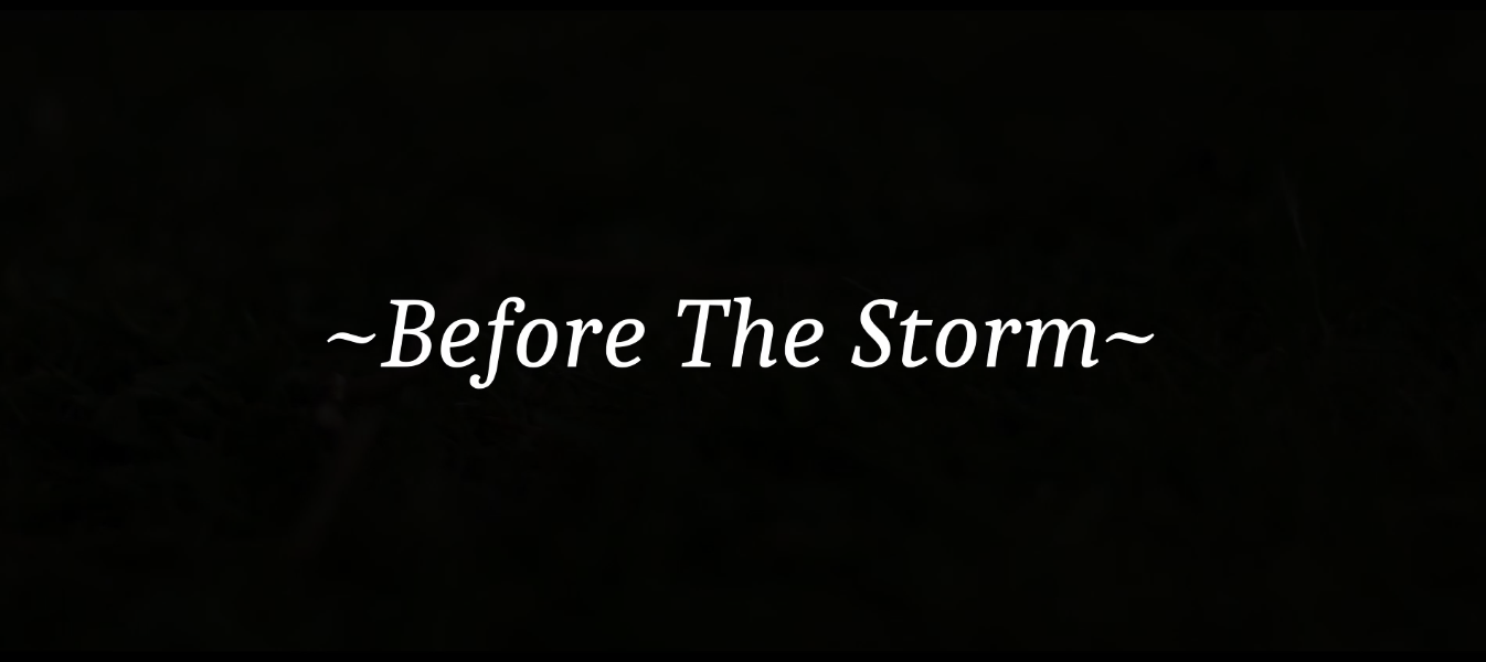 Before The Storm thumbnail